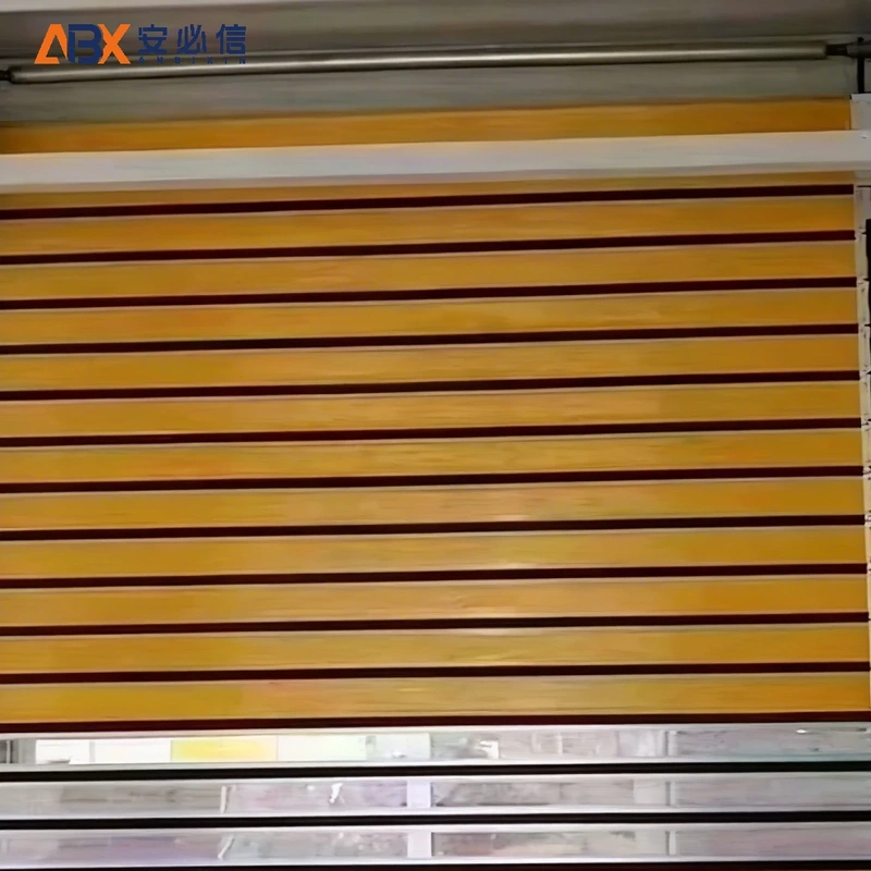拉萨市雷达高速门